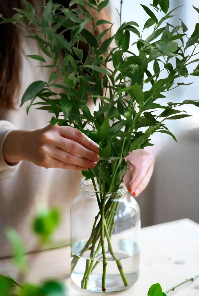 Mujero con florero de ruscus italiano